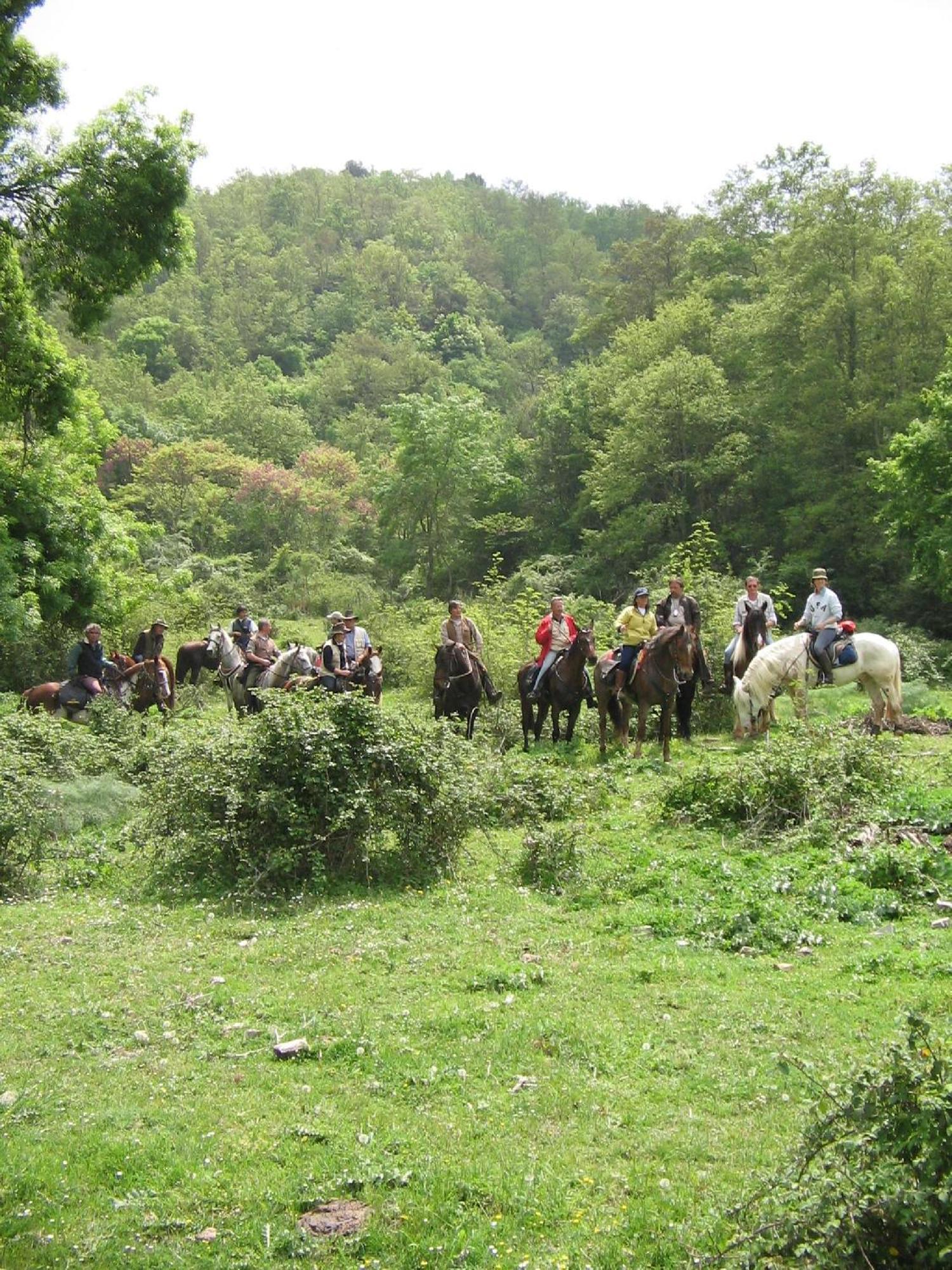 Agriturismo Casale Bonaparte Cellere Bagian luar foto