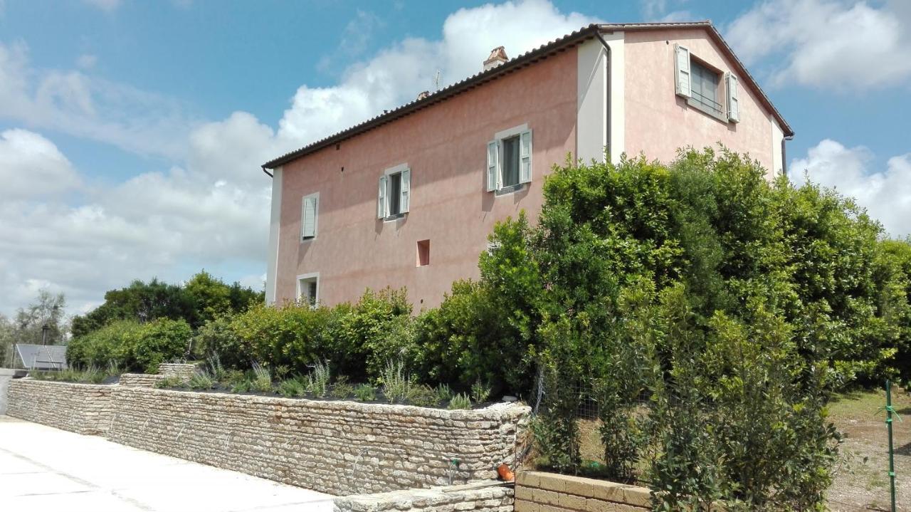 Agriturismo Casale Bonaparte Cellere Bagian luar foto