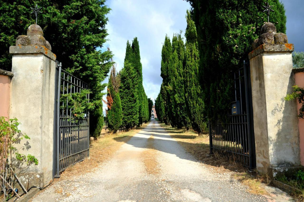 Agriturismo Casale Bonaparte Cellere Bagian luar foto